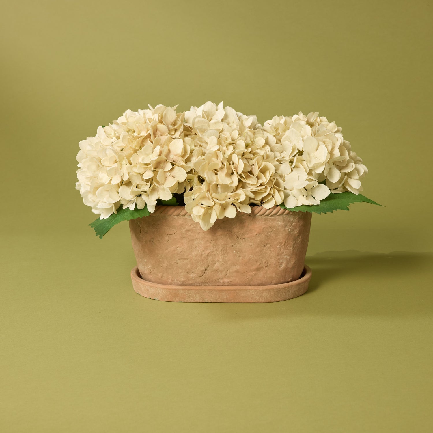 Chinon Oval Pot With Saucer | Brown - 27x16cm